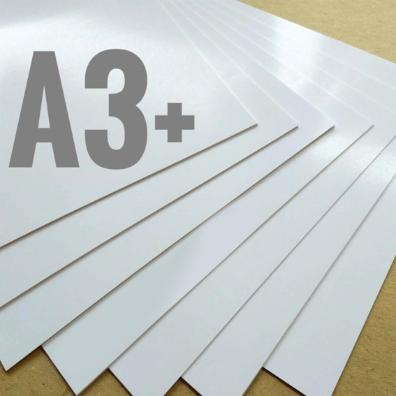 Print Hang Tag AP260/AP310 gsm