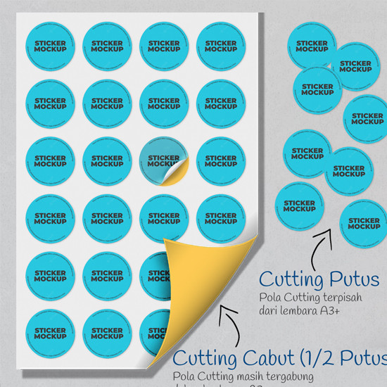 Print Color Sticker Quantac White Glossy A3+ 