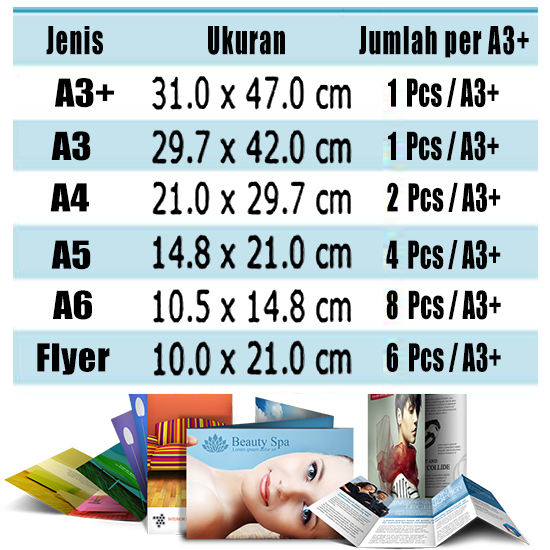 Print Color AP 310 A3+ 