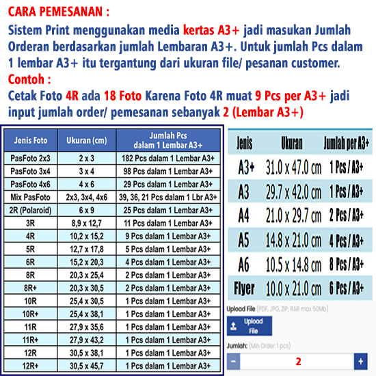 Print Color AP 310 A3+ 