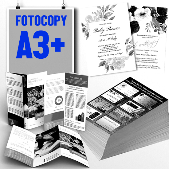 Print FC-BW HVS 70/80 Grm A3+